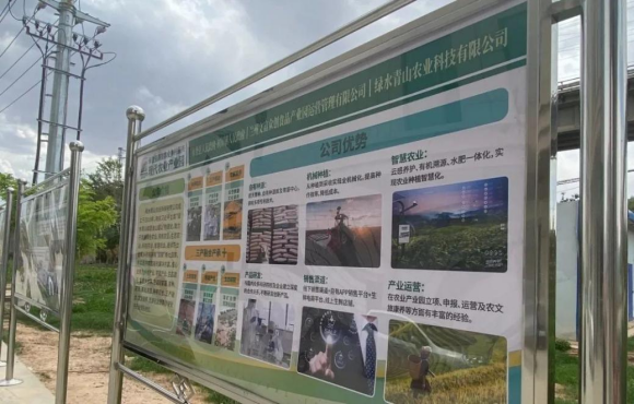 植物蛋白作物种植试验区